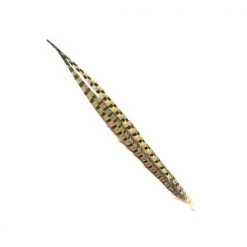 SHOR Fishing Feathers Ring-Necked Pheasant Tail
