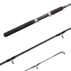 Shimano Spinning rods FX Spinning Rod